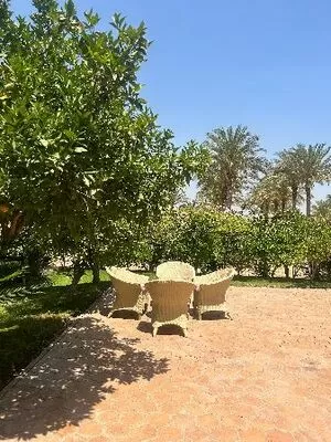 For rent villa 1500 m2 village of ofok - 10 minutes from Sheikh Zayed