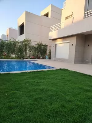 Separate villa for rent with pool in Atrio Compound, Sheikh Zayed